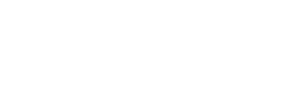 Barnwood Innovations logo (2)